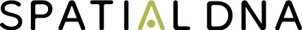 Spatial Logo V1